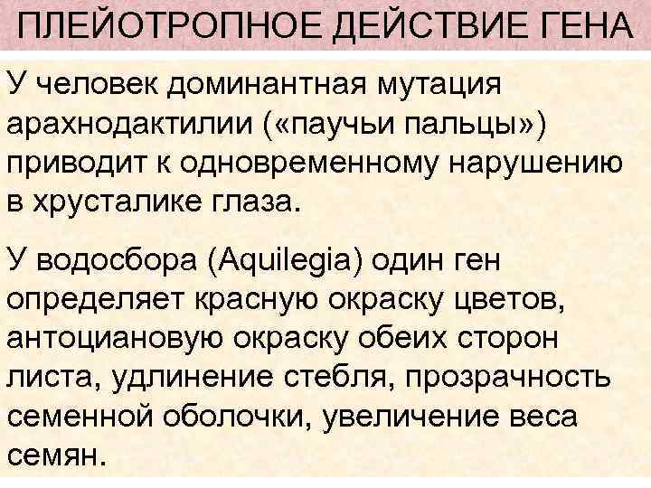 ПЛЕЙОТРОПНОЕ ДЕЙСТВИЕ ГЕНА У человек доминантная мутация арахнодактилии ( «паучьи пальцы» ) приводит к