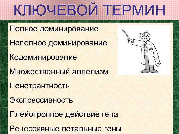 КЛЮЧЕВОЙ ТЕРМИН Полное доминирование Неполное доминирование Кодоминирование Множественный аллелизм Пенетрантность Экспрессивность Плейотропное действие гена