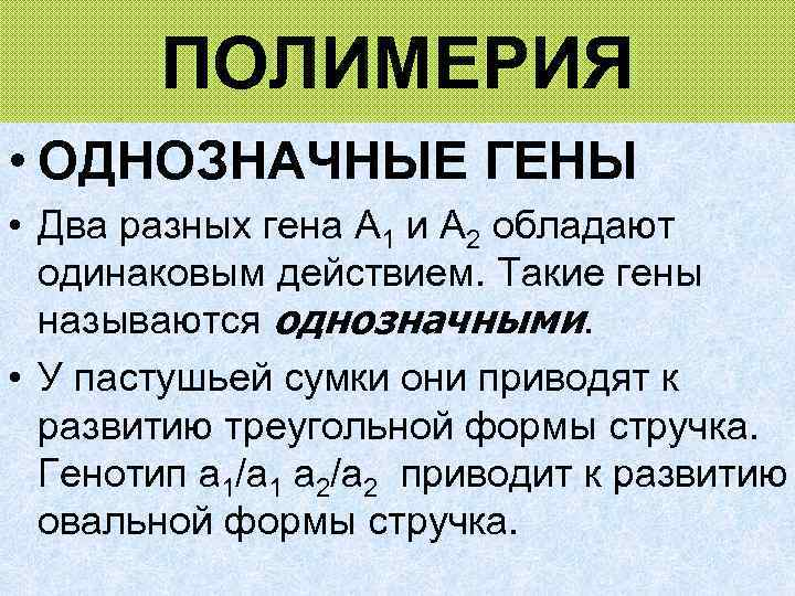 ПОЛИМЕРИЯ • ОДНОЗНАЧНЫЕ ГЕНЫ • Два разных гена А 1 и A 2 обладают