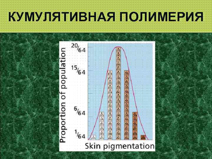 КУМУЛЯТИВНАЯ ПОЛИМЕРИЯ 