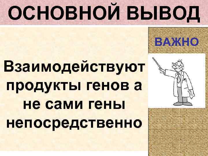 ОСНОВНОЙ ВЫВОД ВАЖНО Взаимодействуют продукты генов а не сами гены непосредственно 
