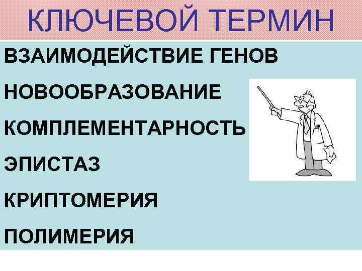 КЛЮЧЕВОЙ ТЕРМИН ВЗАИМОДЕЙСТВИЕ ГЕНОВ НОВООБРАЗОВАНИЕ КОМПЛЕМЕНТАРНОСТЬ ЭПИСТАЗ КРИПТОМЕРИЯ ПОЛИМЕРИЯ 