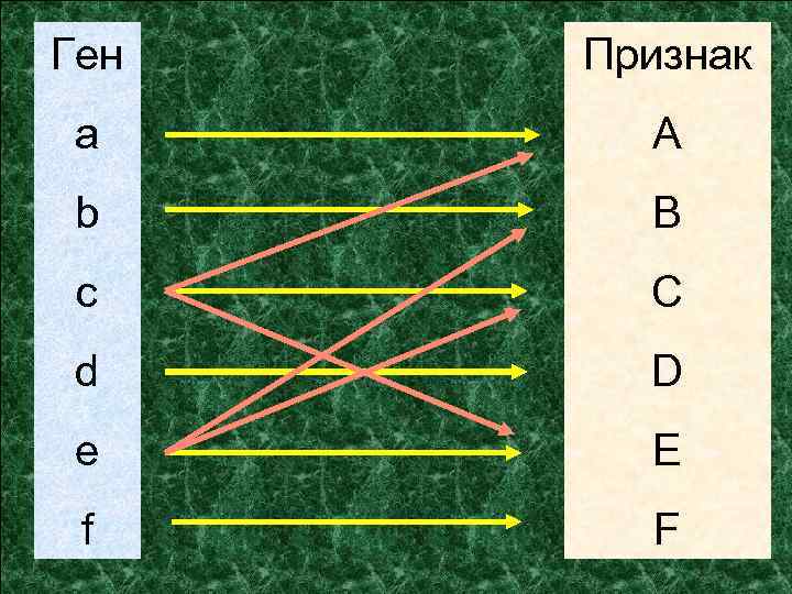 Ген признак