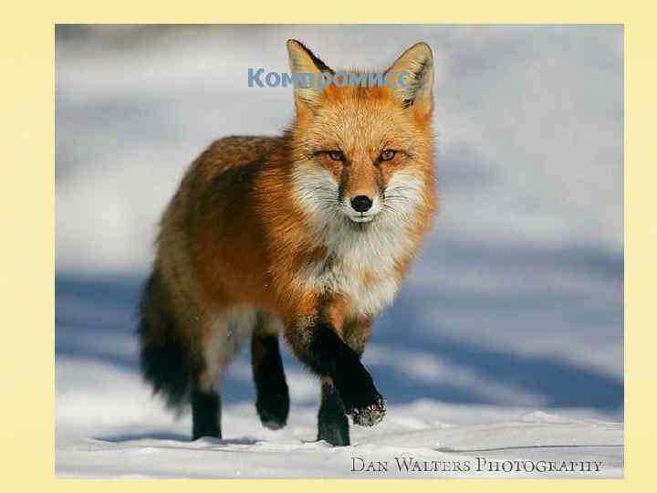 Компромисс 