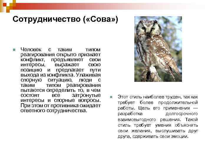 Сотрудничество ( «Сова» ) n Человек с таким типом реагирования открыто признает конфликт, предъявляет