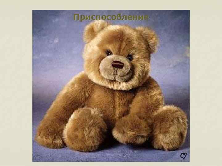 Приспособление 