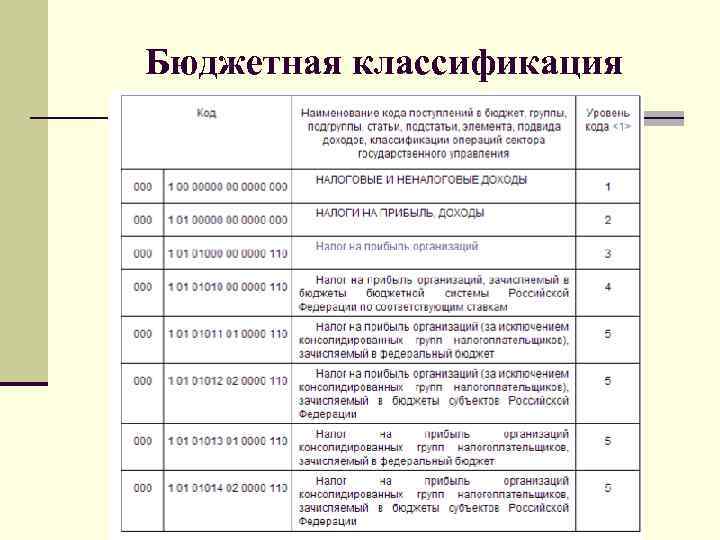 Бюджетная классификация 