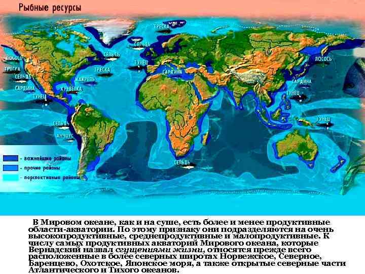 Бассейны мировых океанов. Характеристика мирового океана. Статистика мирового океана. Наиболее загрязненные акватории мирового океана. Характеристика карты мирового океана.