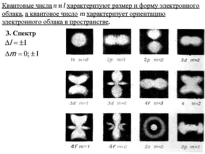 Какое квантовое число характеризует направление электронного облака