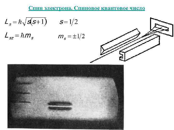 Спин электрона. Спиновое квантовое число 