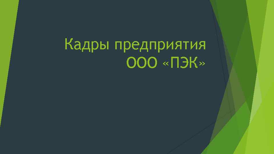 Кадры предприятия ООО «ПЭК» 