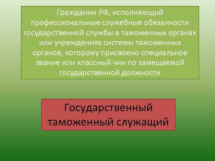 Гражданин РФ, исполняющий профессиональные служебные обязанности государственной службы в таможенных органах или учреждениях системы