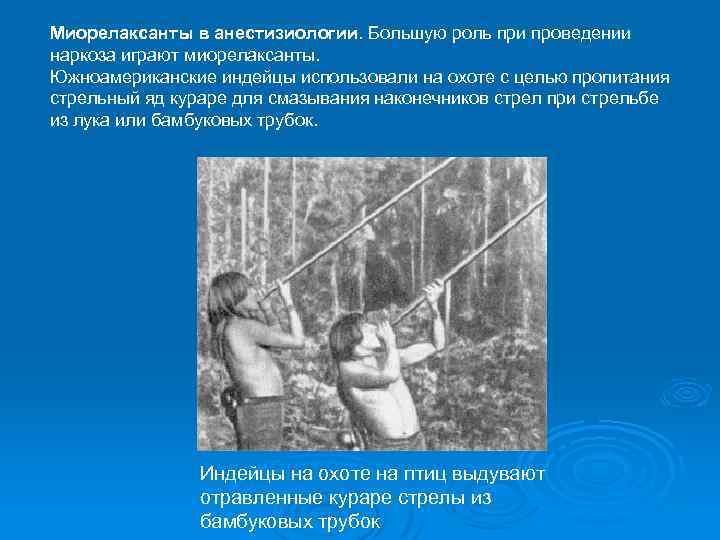 Миорелаксанты в анестизиологии. Большую роль при проведении наркоза играют миорелаксанты. Южноамериканские индейцы использовали на