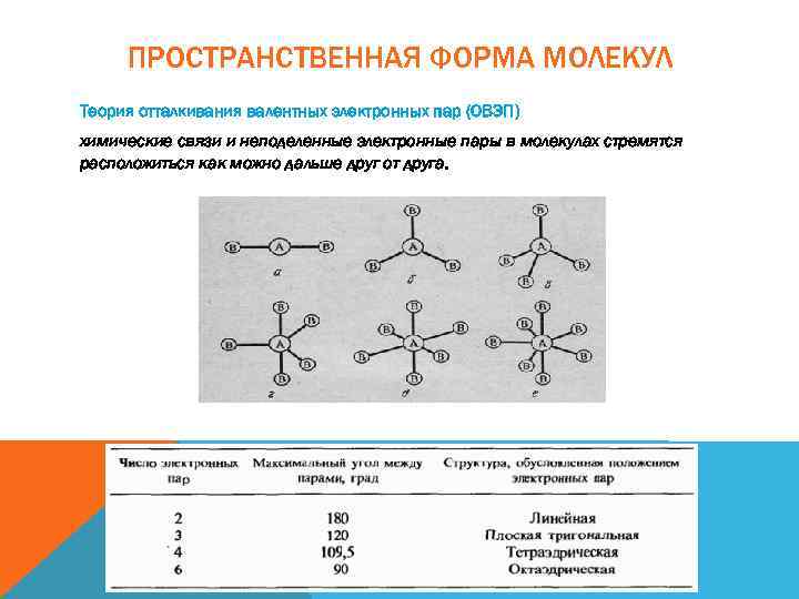 Функция строение молекул