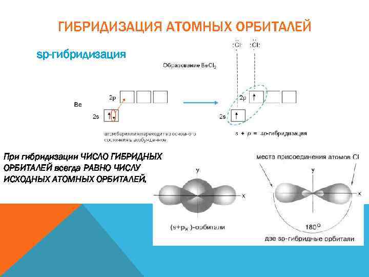 ГИБРИДИЗАЦИЯ АТОМНЫХ ОРБИТАЛЕЙ sp-гибридизация При гибридизации ЧИСЛО ГИБРИДНЫХ ОРБИТАЛЕЙ всегда РАВНО ЧИСЛУ ИСХОДНЫХ АТОМНЫХ