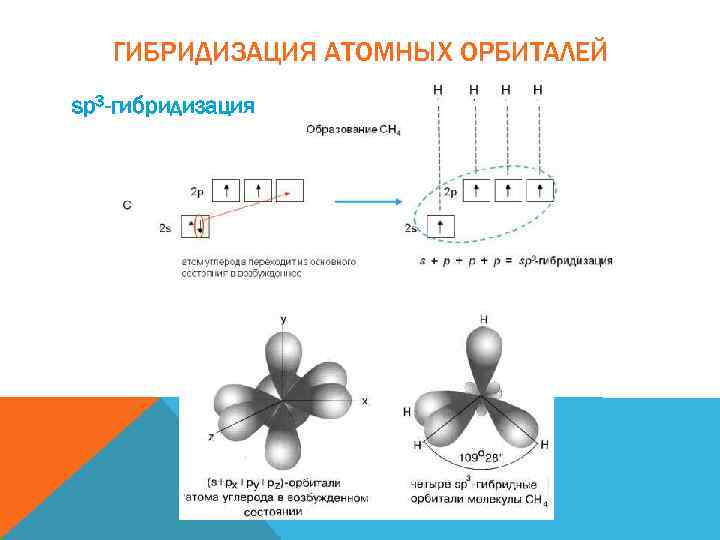 ГИБРИДИЗАЦИЯ АТОМНЫХ ОРБИТАЛЕЙ sp 3 -гибридизация 