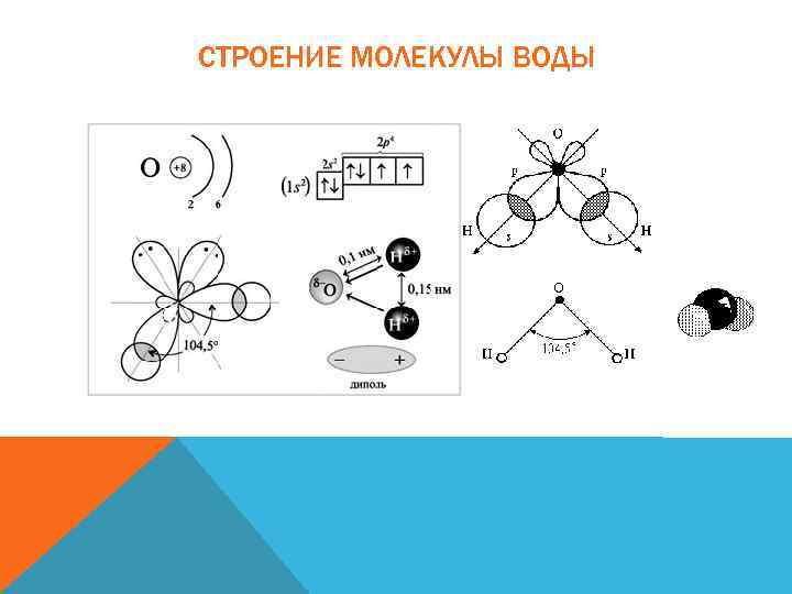 СТРОЕНИЕ МОЛЕКУЛЫ ВОДЫ 