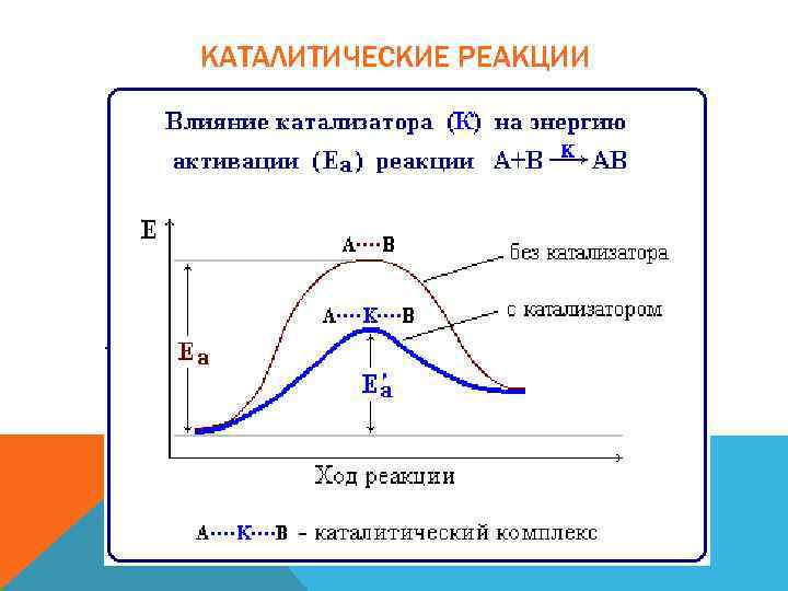 КАТАЛИТИЧЕСКИЕ РЕАКЦИИ 