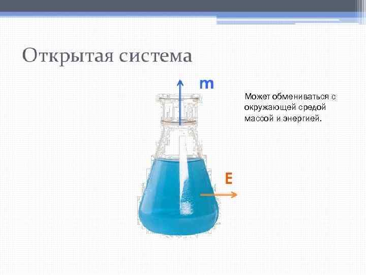 Может обмениваться с окружающей средой массой и энергией. 