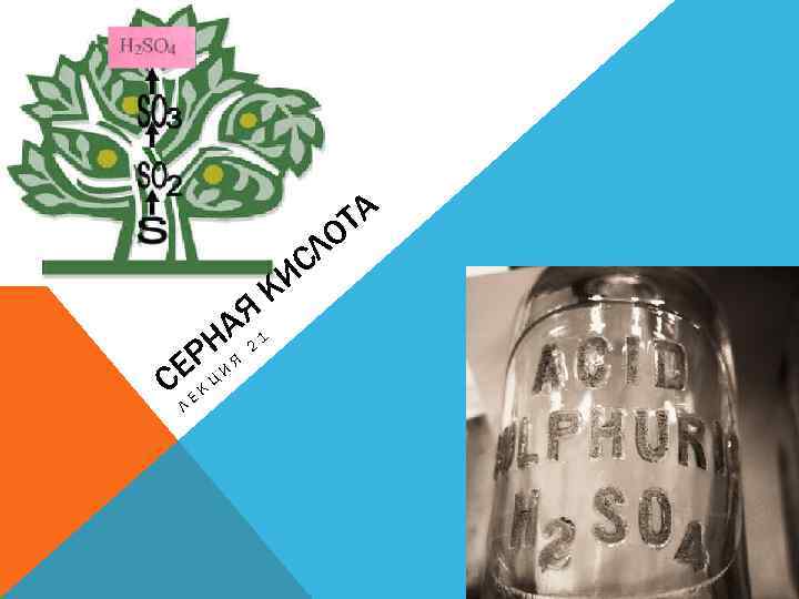 ТА О АЯ 1 Н 2 ЕРЦ И Я С К Л Е К