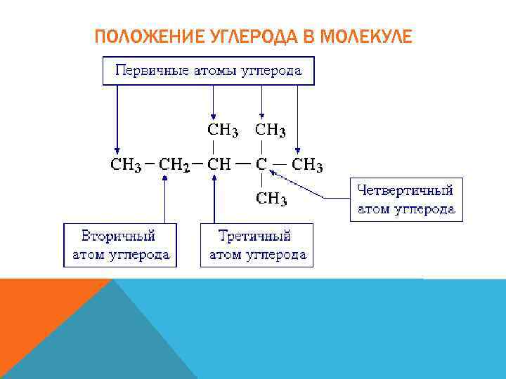 ПОЛОЖЕНИЕ УГЛЕРОДА В МОЛЕКУЛЕ 