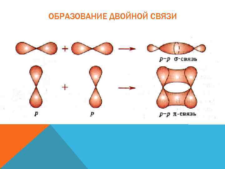 ОБРАЗОВАНИЕ ДВОЙНОЙ СВЯЗИ 
