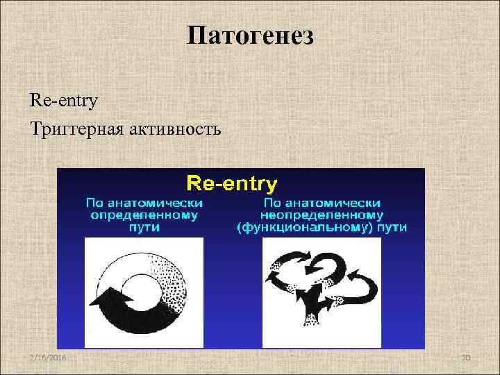 Патогенез Re-entry Триггерная активность 2/16/2018 30 