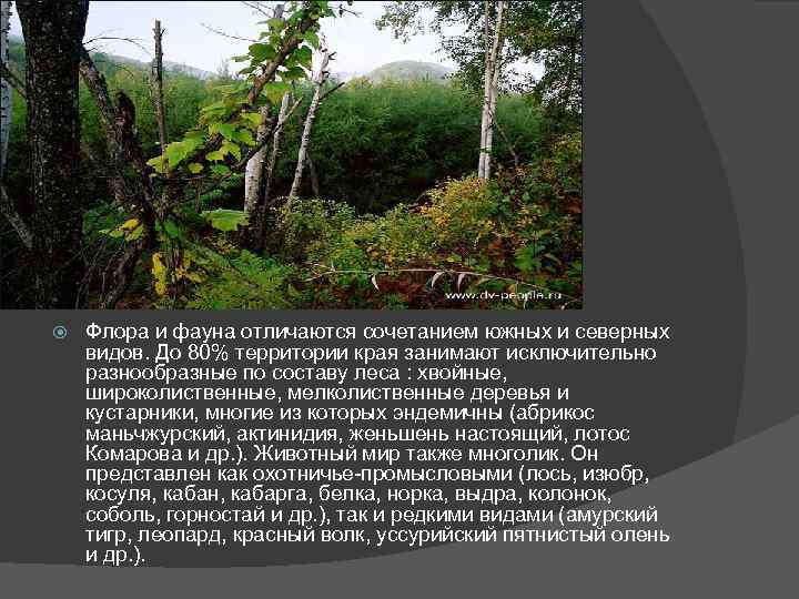  Флора и фауна отличаются сочетанием южных и северных видов. До 80% территории края