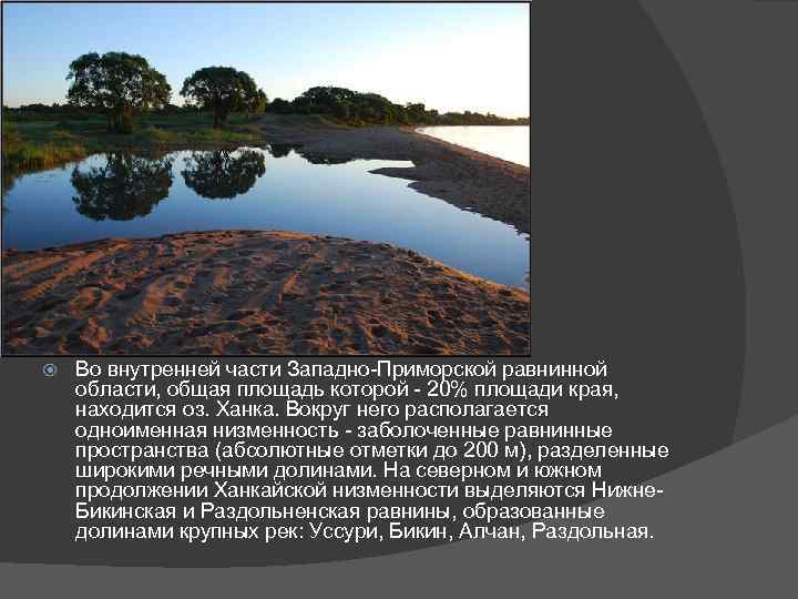  Во внутренней части Западно-Приморской равнинной области, общая площадь которой - 20% площади края,