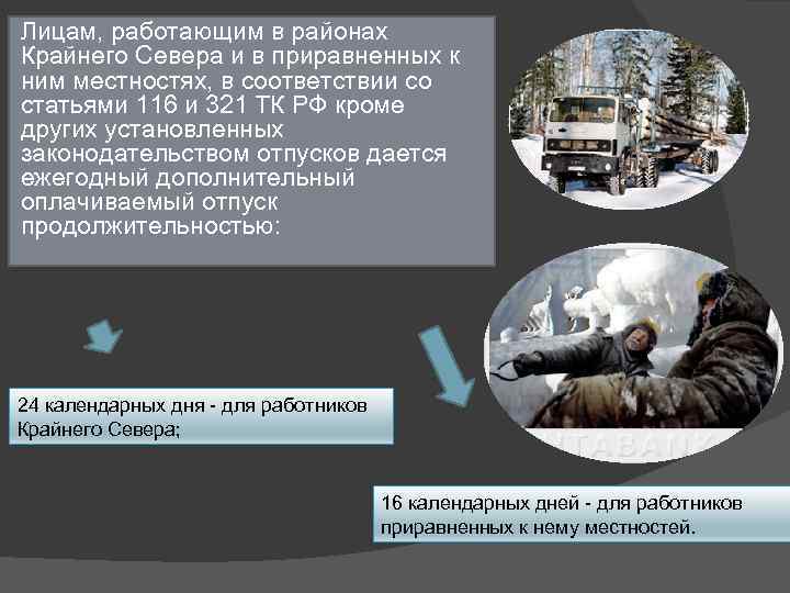 Отпуск в районах крайнего севера. Доп отпуск крайний Север. Особенности правового регулирования работников крайнего севера. Трудовое законодательство РФ отпуск на крайнем севере.