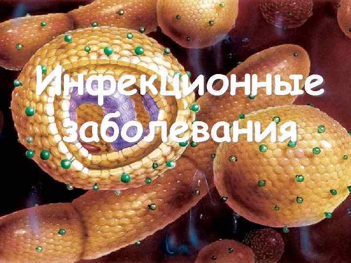 Инфекционные заболевания 