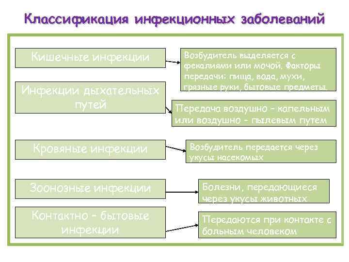 Кожа типирование уход возрастные изменения заболевания улучшение состояния проект