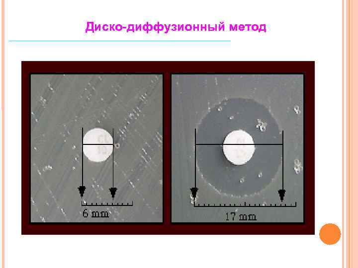 Диско-диффузионный метод 