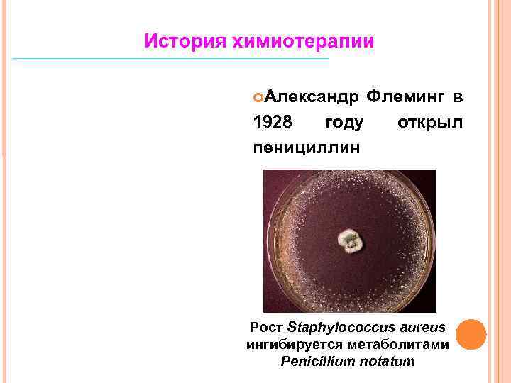 История химиотерапии Александр Флеминг в 1928 году открыл пенициллин Рост Staphylococcus aureus ингибируется метаболитами