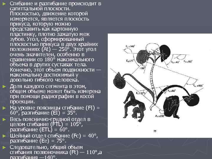 ► ► ► Сгибание и разгибание происходит в сагиттальной плоскости. Плоскостью, движение которой измеряется,