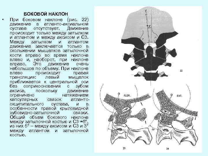  • БОКОВОЙ НАКЛОН При боковом наклоне (рис. 22) движение в атланто-аксиальном суставе отсутствует.