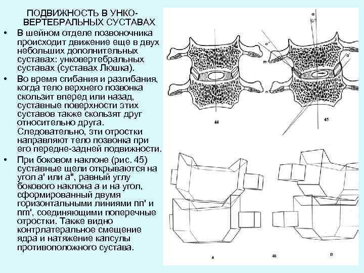 Атланто аксиальный сустав