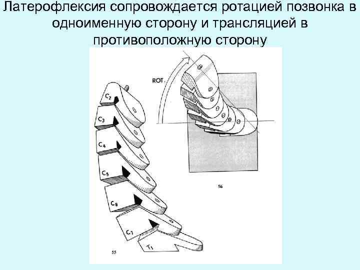 Аксис пежо на жукова