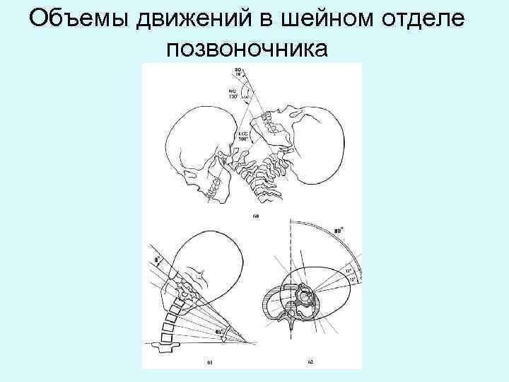 Объемы движений в шейном отделе позвоночника 