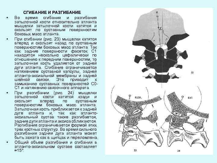 Атланто аксиальный сустав