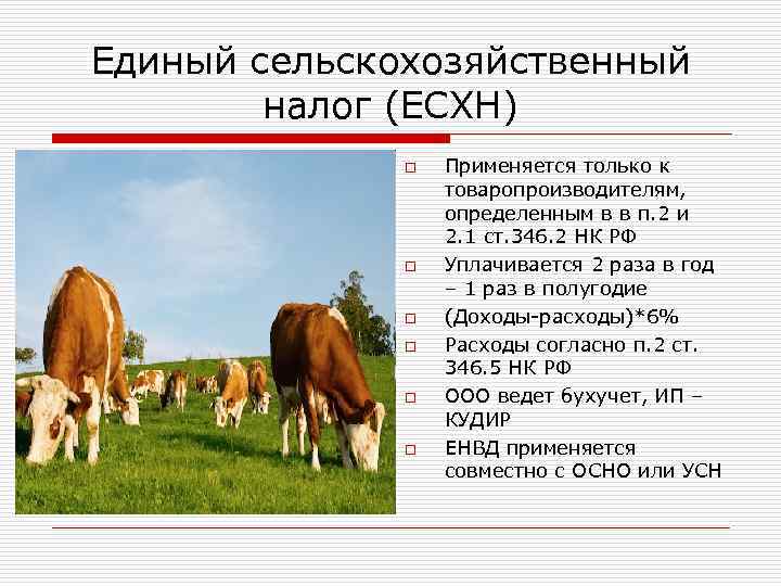 Единый сельскохозяйственный налог (ЕСХН) o o o Применяется только к товаропроизводителям, определенным в в