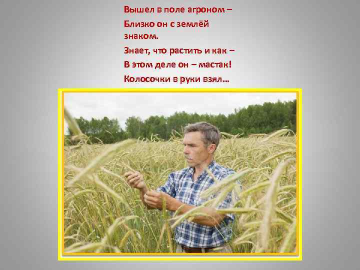 Вышел в поле агроном – Близко он с землёй знаком. Знает, что растить и