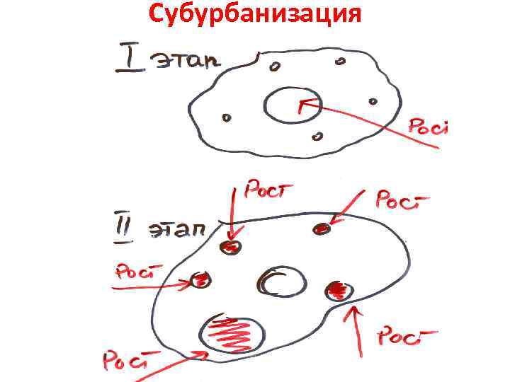 Субурбанизация 
