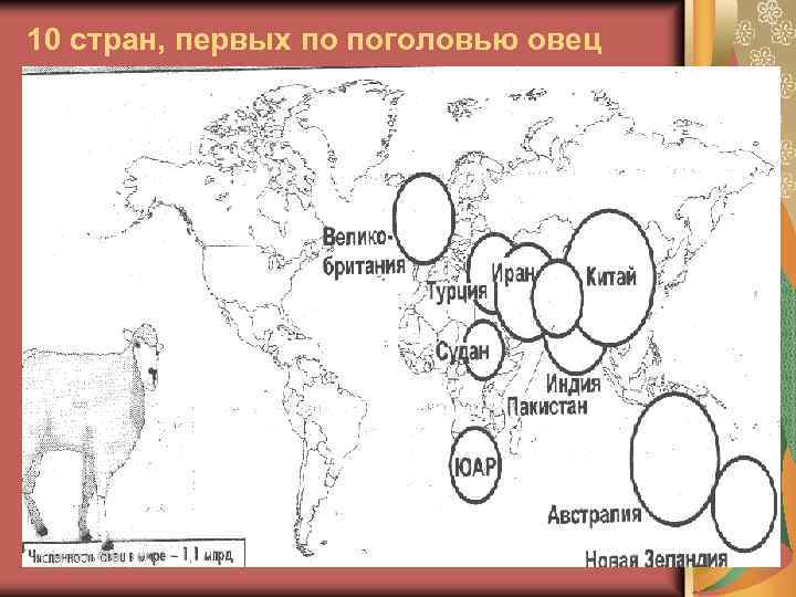 10 стран, первых по поголовью овец 