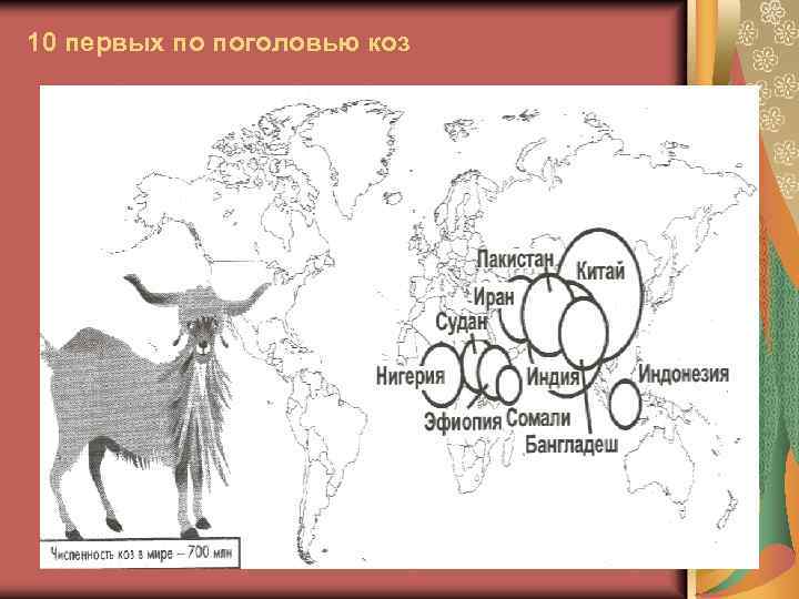 10 первых по поголовью коз 