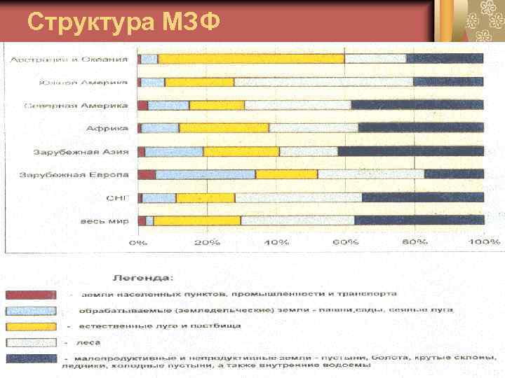 Структура МЗФ 