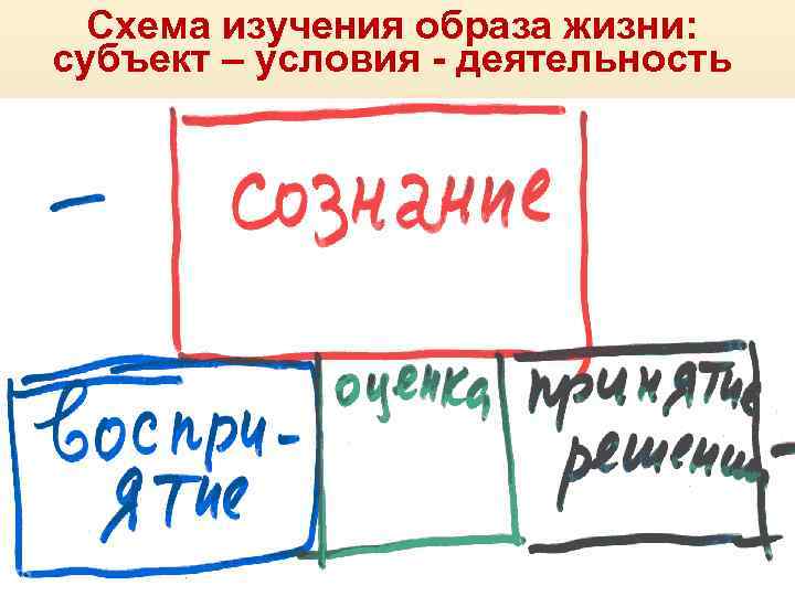 Схема изучения образа жизни: субъект – условия - деятельность 