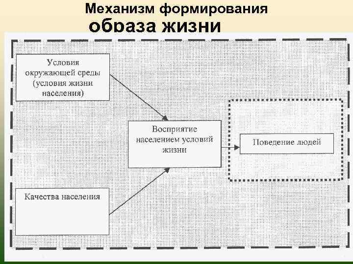 Механизм формирования образа жизни 