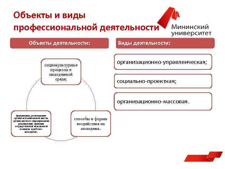 Объекты и виды профессиональной деятельности Объекты деятельности: социокультурные процессы в молодежной среде; Виды деятельности: