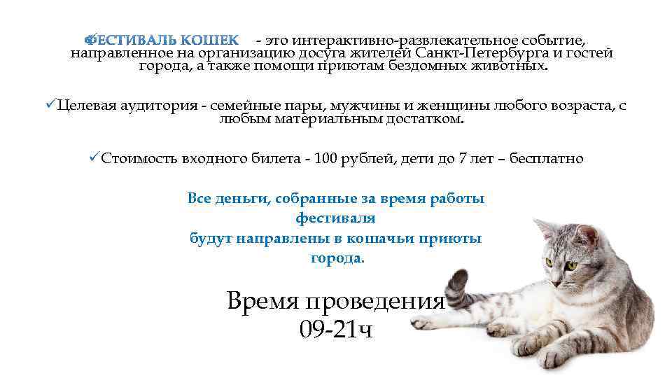 ü - это интерактивно-развлекательное событие, направленное на организацию досуга жителей Санкт-Петербурга и гостей города,